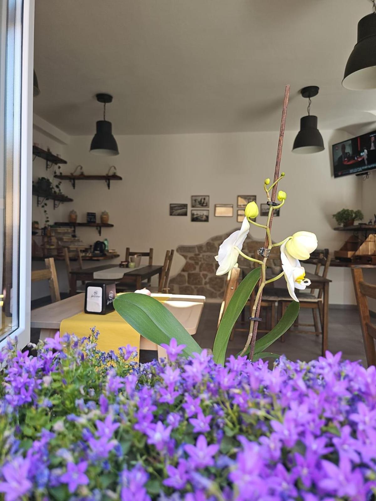 Il Busciolotto Hotel Santa Teresa Gallura Bagian luar foto